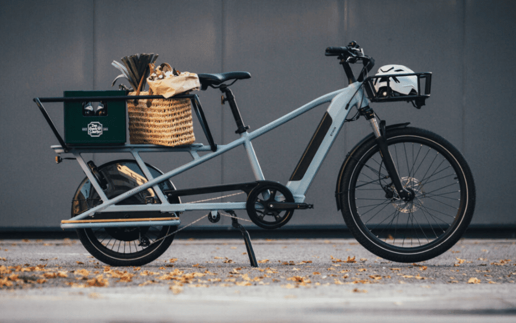 Cargo Electric Bike
